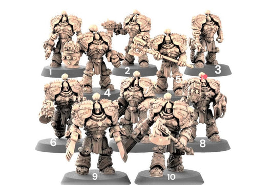 Thunder Warriors Heavy Armour SQ1  Unit (5 models supplied/2 Variations)